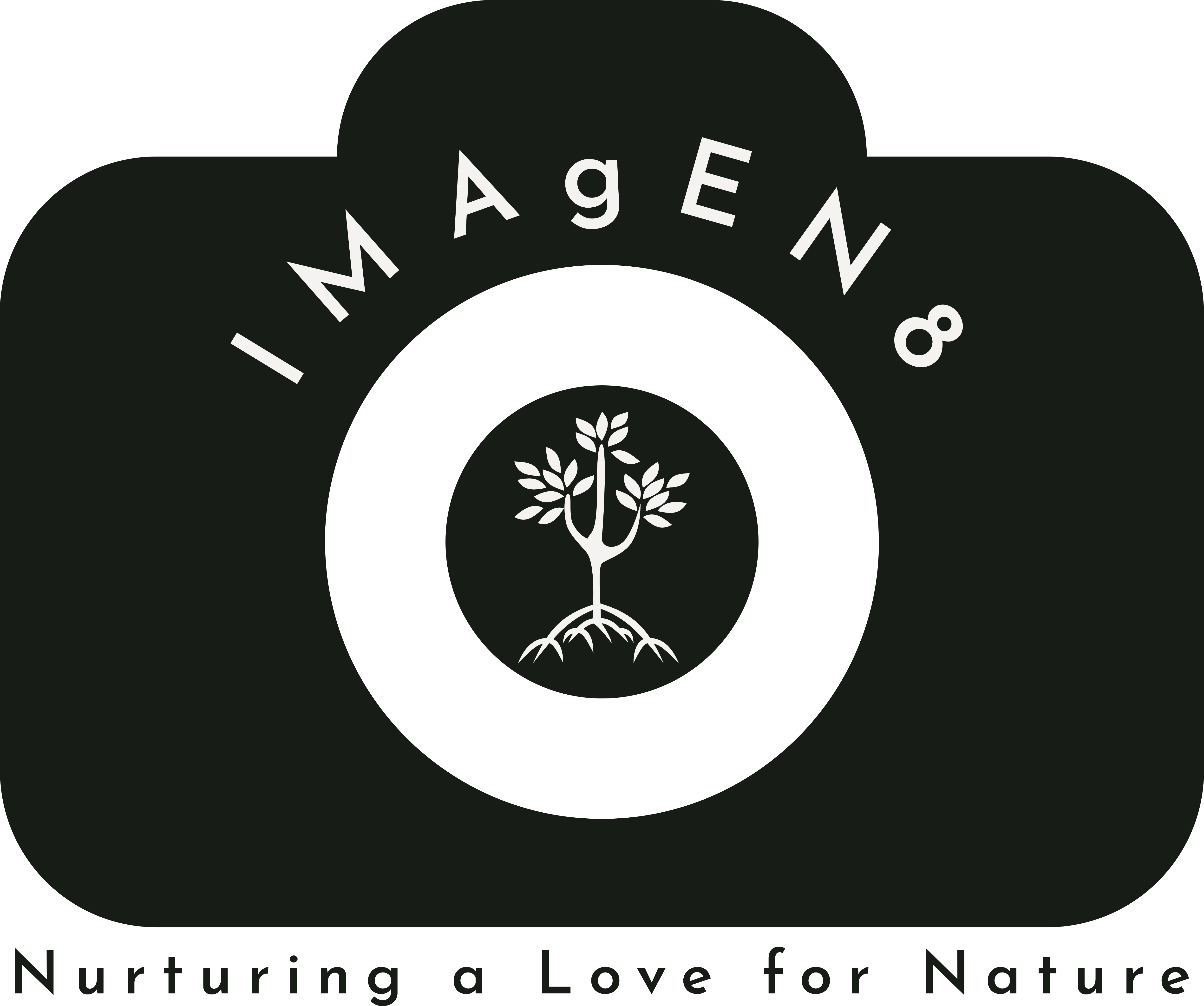 IMAgEN8 Logo